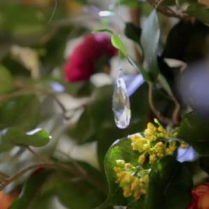 VideoCapture_20191115-150503